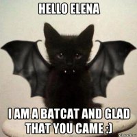 hello elena i am a batcat and glad that you came :)