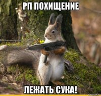 рп похищение лежать сука!