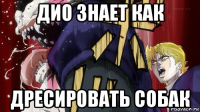 дио знает как дресировать собак