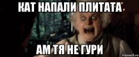 кат напали плитата ам тя не гури