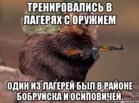 тренировались в лагерях с оружием один из лагерей был в районе бобруйска и осиповичей.