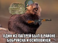  один из лагерей был в районе бобруйска и осиповичей.