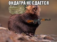 ондатра не сдаётся 