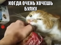 когда очень хочешь булку 