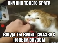личико твоего брата когда ты купил смазку с новым вкусом