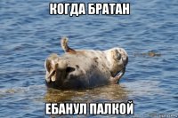 когда братан ебанул палкой