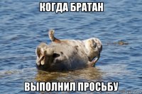 когда братан выполнил просьбу