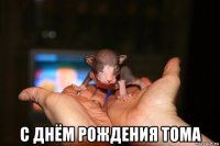  с днём рождения тома
