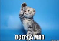  всегда мяв