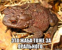  это жаба тоже за орального .