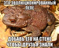 это эволюционированный пепе добавь его на стене чтобы друзья знали