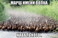 марш имени волка навального .