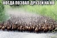 когда позвал друзей на кв 
