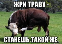 жри траву - станешь такой же.