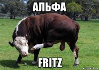 альфа fritz