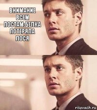 внимание всем постам:белка потеряла лося 