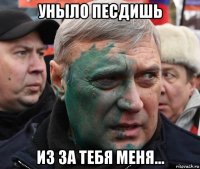 уныло песдишь из за тебя меня...