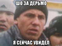 шо за дерьмо я сейчас увидел