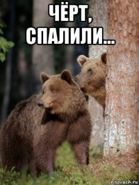 чёрт, спалили... 
