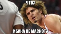 что? ибака не маскот?