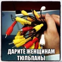  дарите женщинам тюльпаны