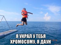  я украл у тебя хромосому, я даун