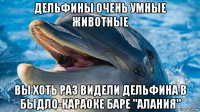 дельфины очень умные животные вы хоть раз видели дельфина в быдло-караоке баре "алания"