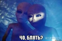  чо, блять?