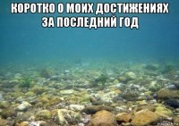 коротко о моих достижениях за последний год 