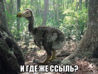  и где же ссыль?