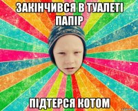 закінчився в туалеті папір підтерся котом