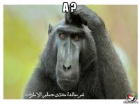 а ? 