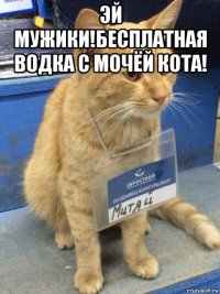 эй мужики!бесплатная водка с мочёй кота! 