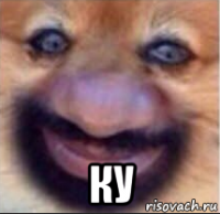  ку