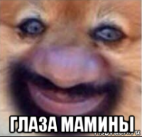  глаза мамины