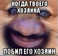 когда твоего хозяина побил его хозяин