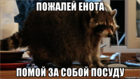 пожалей енота помой за собой посуду