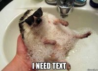  i need text