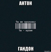 антон гандон