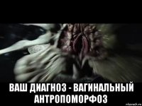  ваш диагноз - вагинальный антропоморфоз