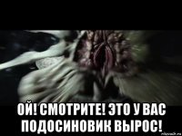  ой! смотрите! это у вас подосиновик вырос!