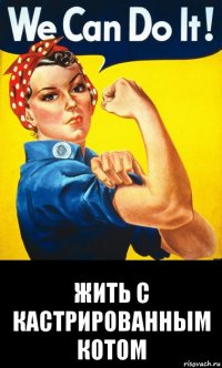  жить с кастрированным котом