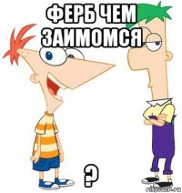 ферб чем заимомся ?
