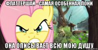 флаттершай - самая особенная пони она описывает всю мою душу