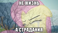 не жизнь а страдания