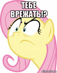 тебе врежать!? 