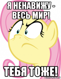 я ненавижу - весь мир! тебя тоже!