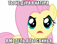 ты не дура я натура я модель а ты свинья