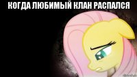 когда любимый клан распался 