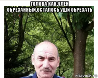 голова как член обрезанный.осталось уши обрезать 
